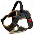 No-pull padded dog harness, Retro Blue